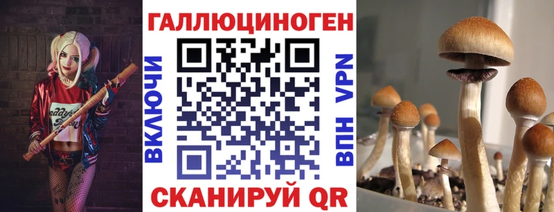 Галлюциногенные грибы Psilocybe  где купить   ОМГ ОМГ как зайти  Электроугли 